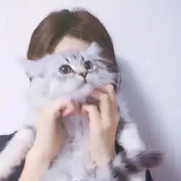 女头猫咪安静
