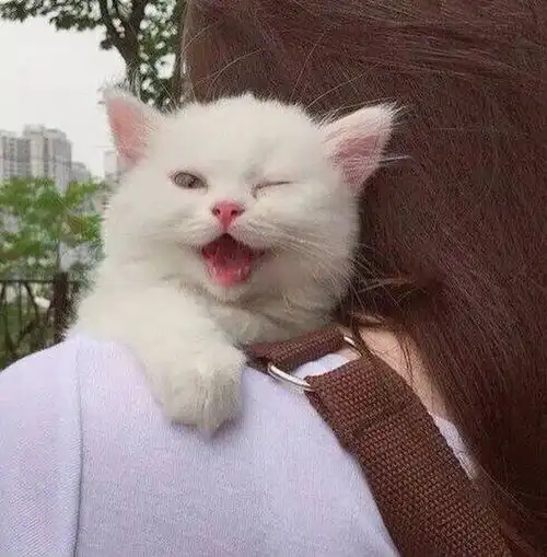 可爱萌系头像

