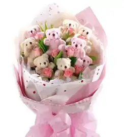 定西网上花店商品内容9枝粉色玫瑰,9枝可爱粉色小熊,绿叶点缀,卡通包装纸
