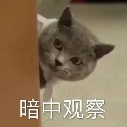 调查方法系列之三如何进行实地观察
