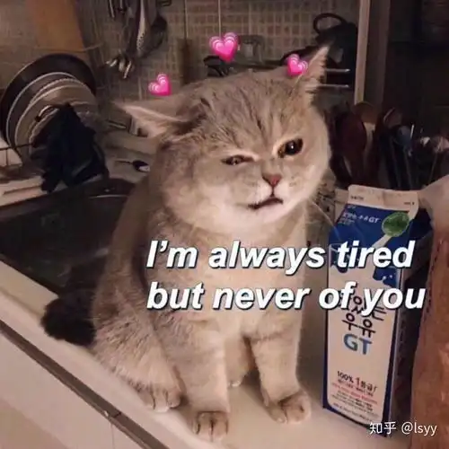 超超超超可爱的猫咪头像
