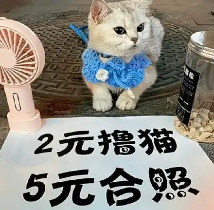 奇怪的表情增加了
