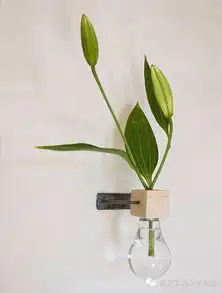 创意花瓶
