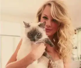 小艺快讯这个女孩要参演电影版猫
