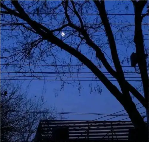 也许生活并不糟糕,糟糕的是我腾讯新闻
