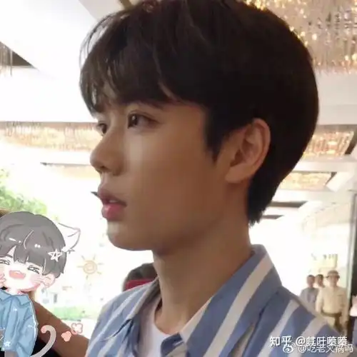 你见过最好看的五官是怎样的
