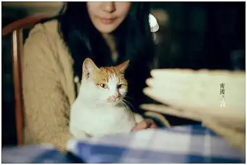 不爱发朋友圈的女人,一般都有这样的心理,错不了的
