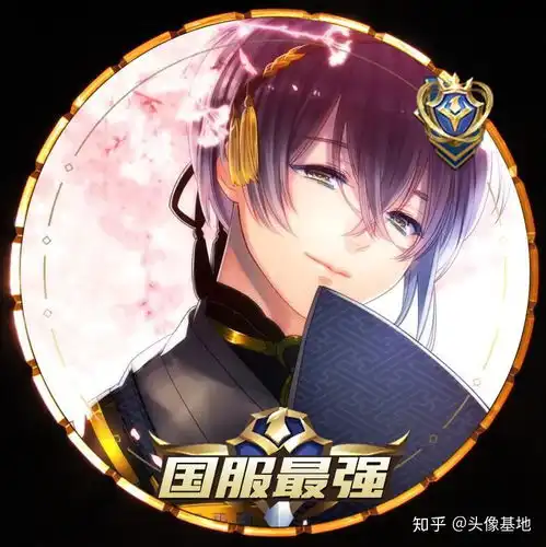 王者荣耀国服最强职业头像

