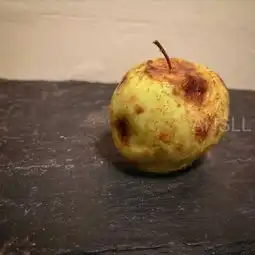 会让你产生困惑的甜点系列,因为它们完全不是甜点该有的样子
