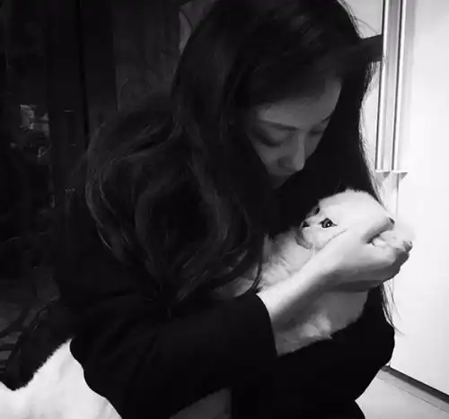 倪妮晒出自己住的房子,在家是女汉子性格,鞋子随处扔在客厅地上
