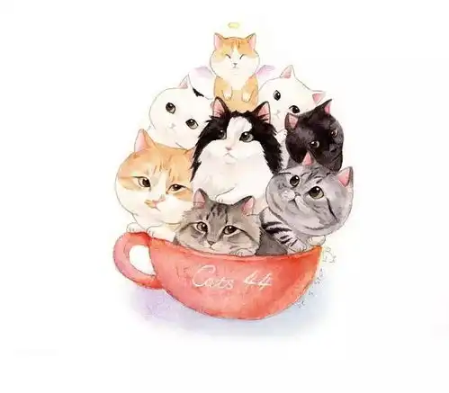 粉色系少女与她的爱猫生活在北京

