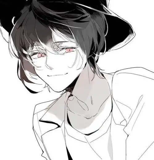 二次元男头流年
