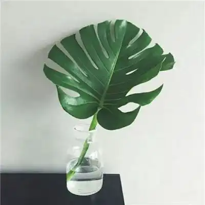 2023最新简约高级感干净风景头像
