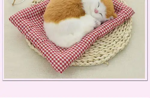 玩具猫假猫儿童玩具送闺蜜创意生日礼物
