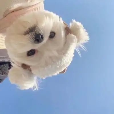 祝你我在声色犬马的世界里保持清澈
