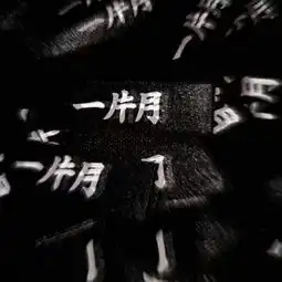 黑色系
