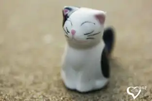 福建之旅三漫步鼓浪屿2猫滴岛猫滴国
