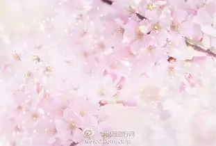 网页链接
