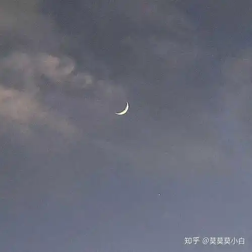 网易云比较丧的头像
