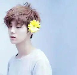 青春芒果夜名单出炉,鹿晗吴亦凡张艺兴同台,tfboys将合体

