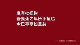 超级干货写文案不求人,看完这个小白也能写出爆款好文案
