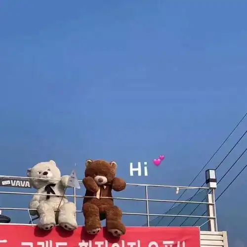 七秒钟的记忆
