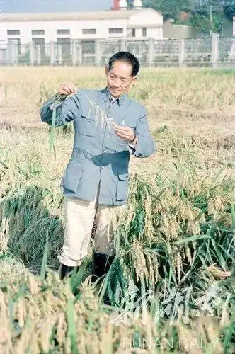 恸含泪告别袁爷爷看他生活中最可爱的一面
