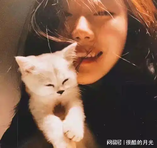 副主任医生的出轨野套路女病人,都是我的后宫
