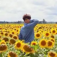 温暖阳光唯美头像微信头像图片大全
