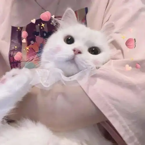 今日头像丨世界很暗,然后你来了
