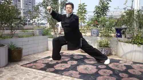 施元刚系列邮票全球发行
