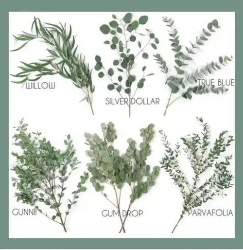 牛油果绿已经out啦鼠尾草绿,穿搭显气质,做美甲显手白

