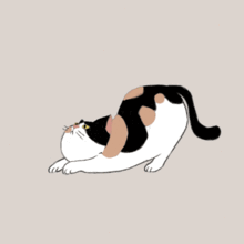 治愈系猫动图两人一猫才是最完美的生活
