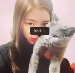来几张韩系女头
