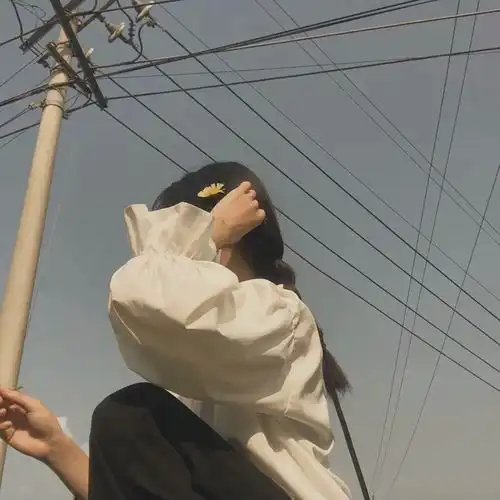 无标题
