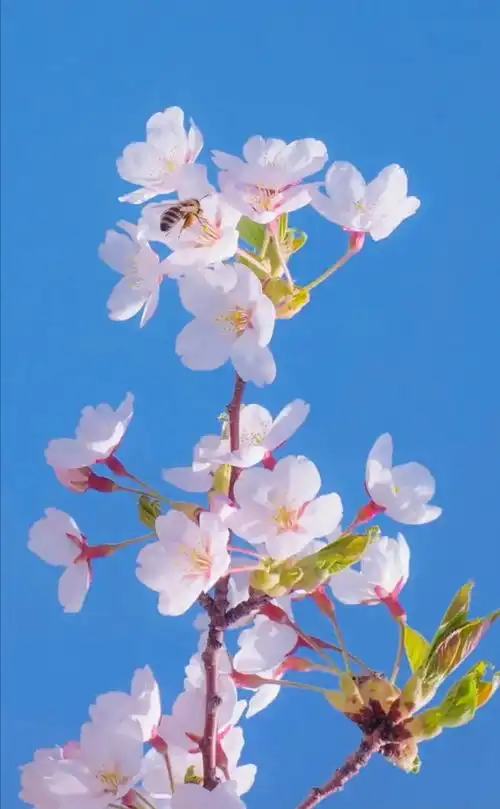 不放弃就有未来
