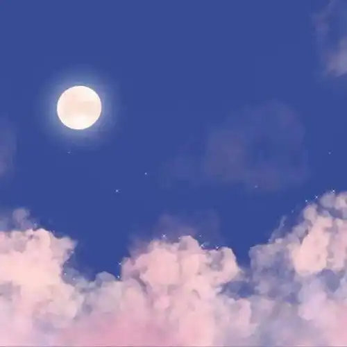 林鲸落ins风朋友圈背景图.
