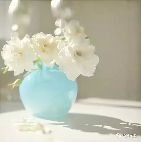 不一样的花色,不一样的心情
