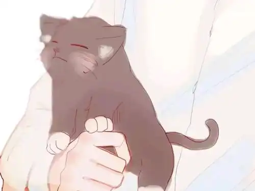 甜筒小妖精
