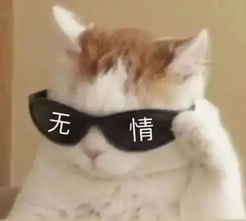 养猫人士的困扰就是猫毛满天飞,让我们看看他是如何做的
