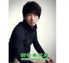 男生菱形脸短发发型效果图
