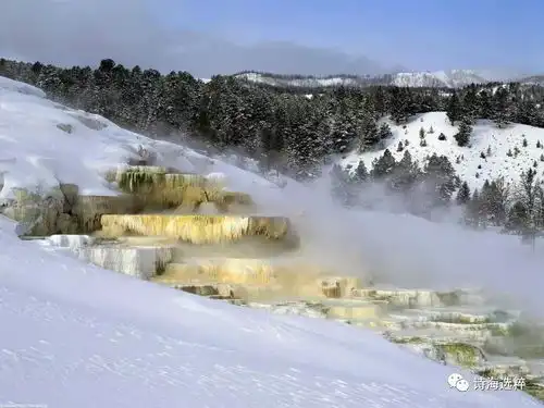 诗海诗家慕雪白贵生作品欣赏
