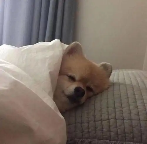 头像人间烟火,谁能不爱
