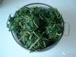 静乐之行,不虚此行
