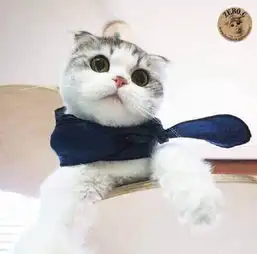 1些软萌头像
