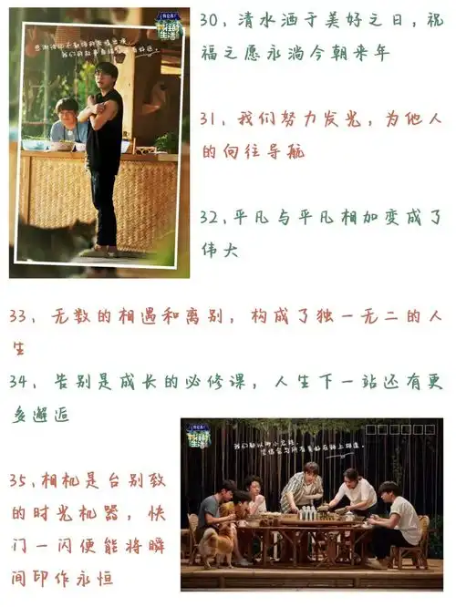 高考作文神仙素材暖综向往的生活优质文案,让作文充满温度
