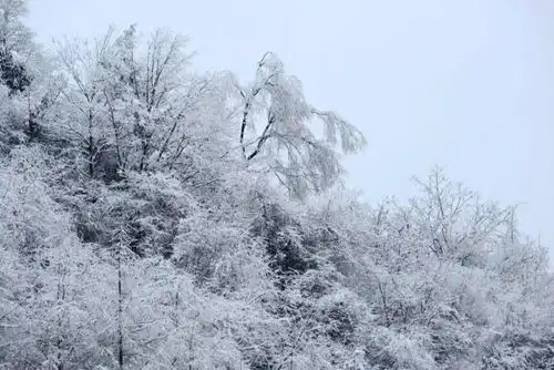 一到雪天,李家山就美成了壁纸
