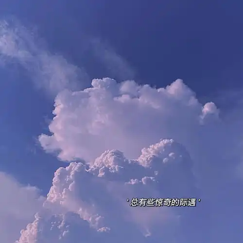 有哪些温柔到极致的短句

