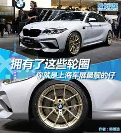 造型犀利尺寸夸张盘点车展让人垂涎三尺的轮圈
