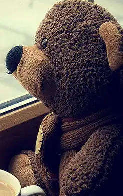 可爱泰迪熊手机壁纸
